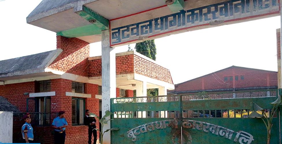 धागो उद्योग बन्द, कपास खेती हरायो