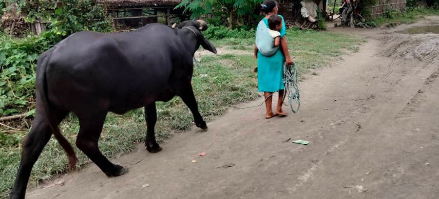 बाढीपीडित भन्छन्– कहाँ बस्ने टुंगो छैन, के गर्ने-गर्ने !