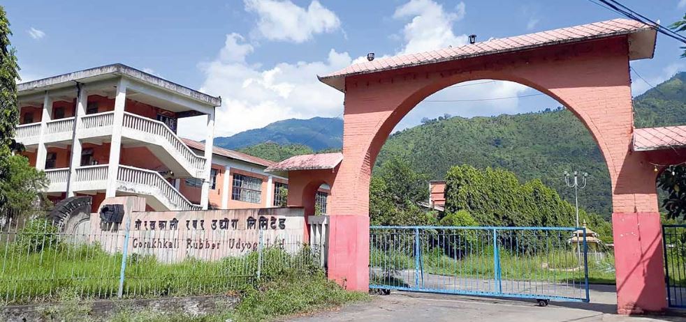 जंगलमा परिणत भयो गोरखकाली रबर उद्योग