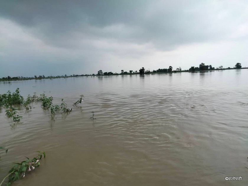 सप्तकोशीमा पानीको सतह बढ्दा थप जोखिम