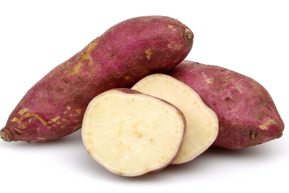 सखरखण्ड खानुका थुप्रै फाइदा, आँखाका लागि असाध्यै उपयोगी