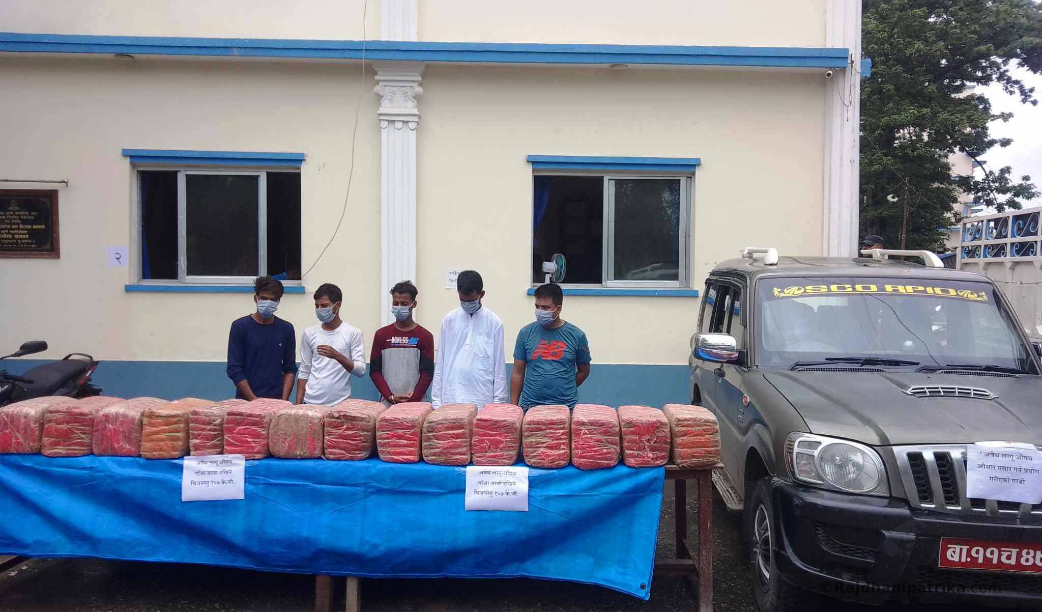 जीतपरसिमरा–२२ स्थित अमलेखगंज जंगलबाट १५७ किलो गाँजासहित ७ जना पक्राउ